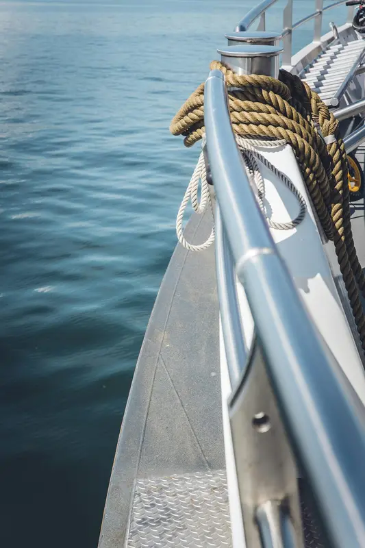 Pearl.Boats Premium Domain